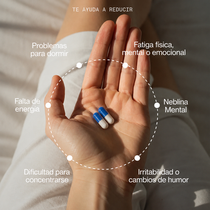 ZENKA DAILY® - Tu rutina diaria antiestrés